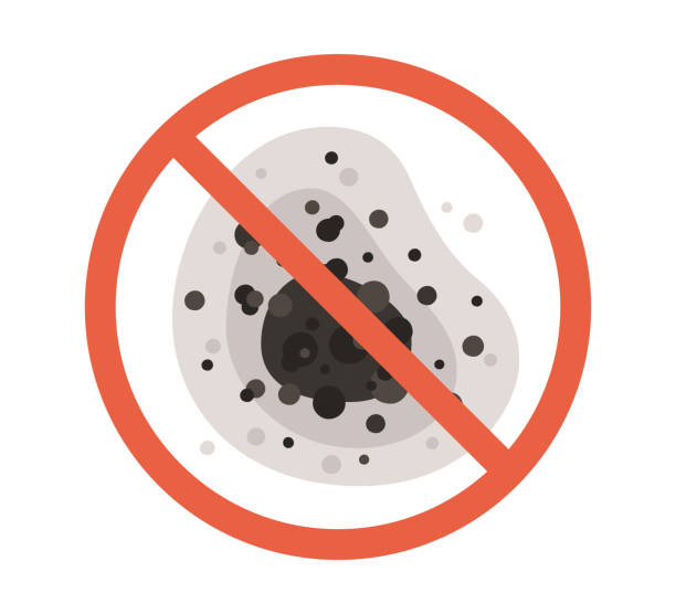 Dobbs Ferry, NY Mold Removal Company