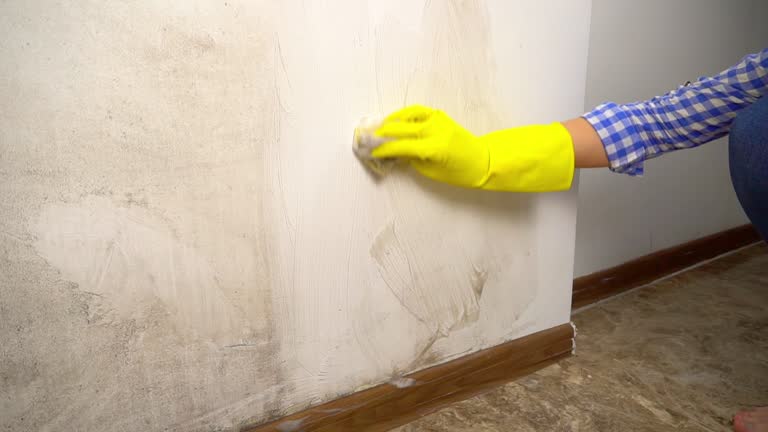 Best Emergency Mold Remediation  in Dobbs Ferry, NY